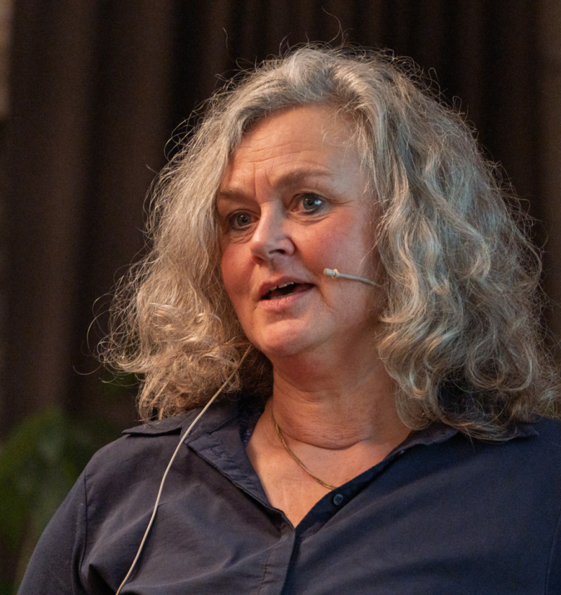 Bygge et skip mens det seiler